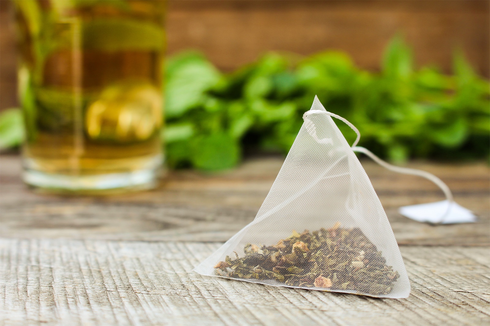 Récupérer les sachets de thé usagers pour le jardin. © Viktoriia M, Adobe Stock